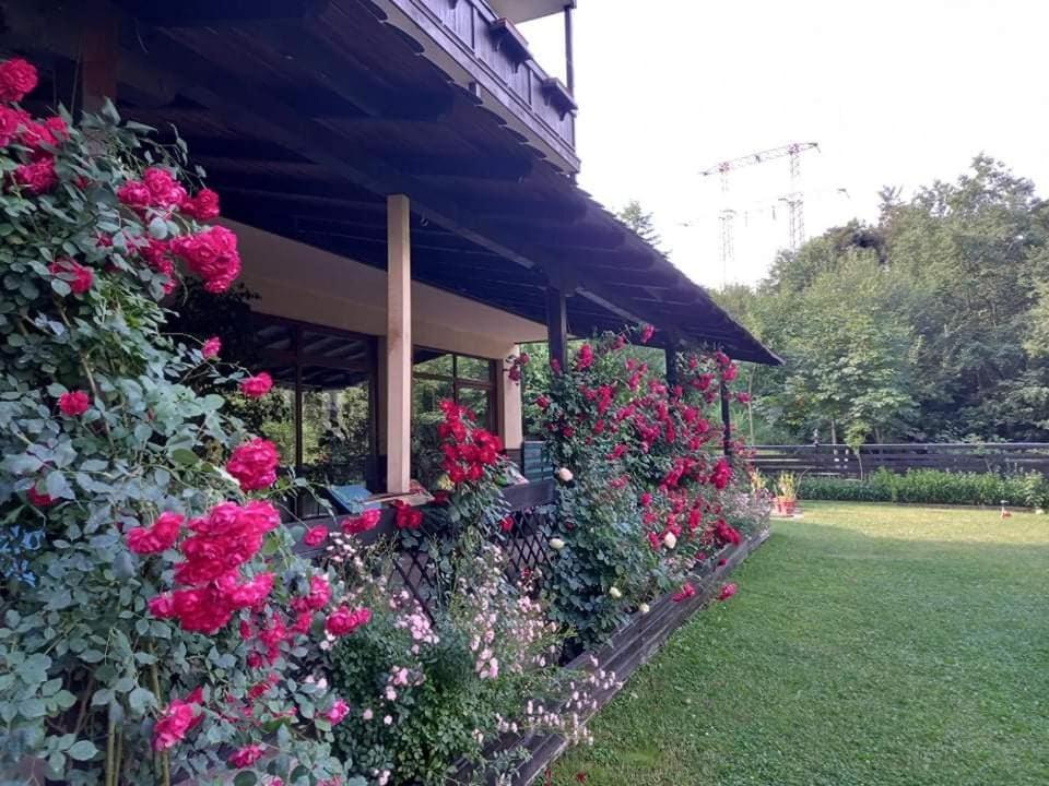 Casa Luce - Camere De Inchiriat บุชเตนี ภายนอก รูปภาพ